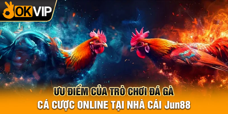 Ưu điểm của trò chơi đá gà cá cược online tại nhà cái Jun88