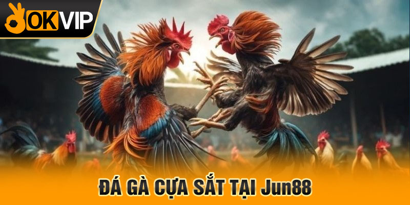 Đá gà cựa sắt tại Jun88