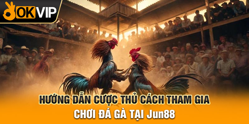 Hướng dẫn cược thủ cách tham gia chơi đá gà tại Jun88