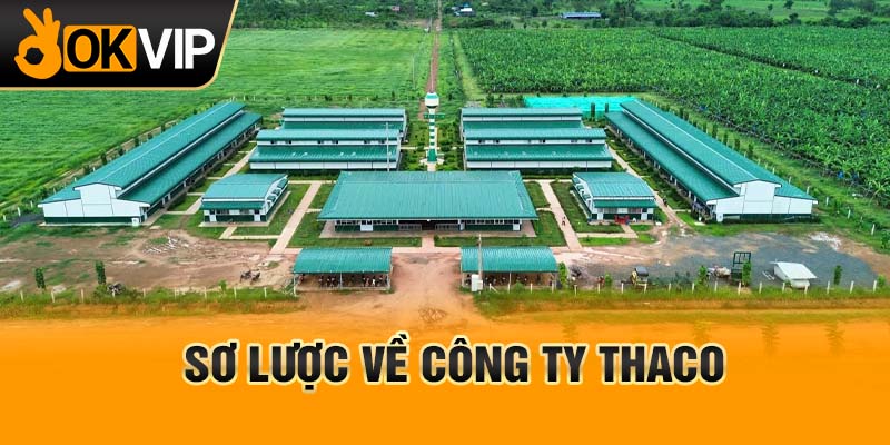 Sơ lược về công ty Thaco