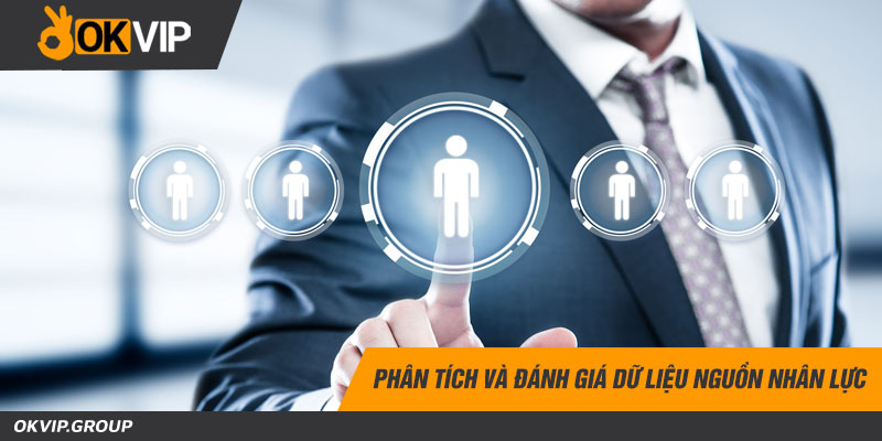 Phân tích và đánh giá dữ liệu nguồn nhân lực
