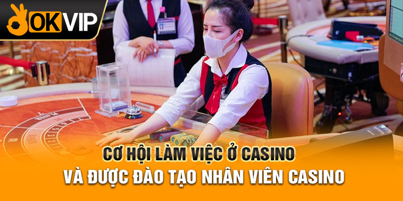 Cơ hội làm việc ở Casino và được đào tạo nhân viên Casino