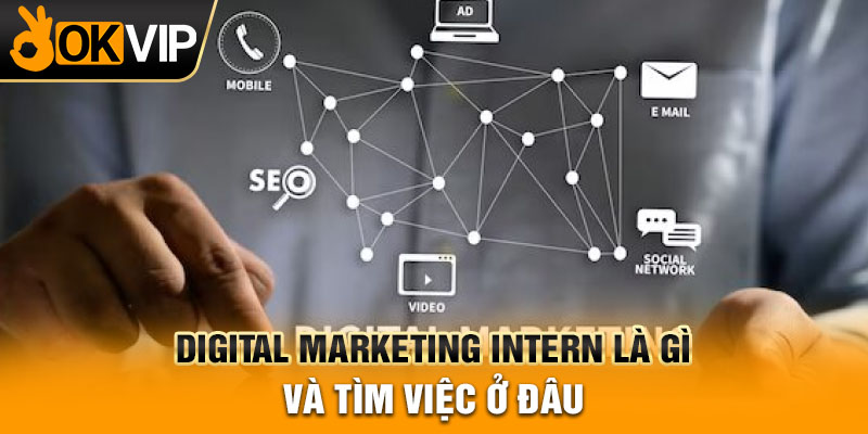 Digital marketing intern là gì và tìm việc ở đâu