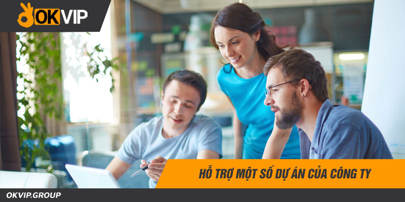 Hỗ trợ một số dự án của công ty