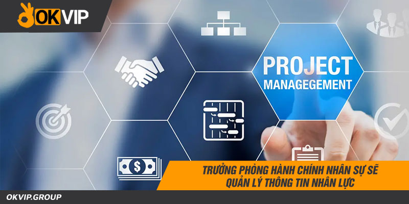 Trưởng phòng hành chính nhân sự sẽ quản lý thông tin nhân lực