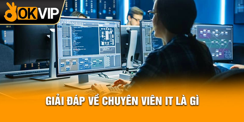 Giải đáp về chuyên viên IT là gì